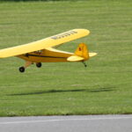 Cub Fly 2022