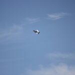 Windy City Warbirds and Classics 2026