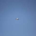 Windy City Warbirds and Classics 2026