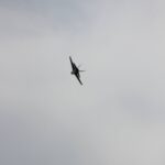 Windy City Warbirds and Classics 2026