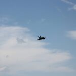 Windy City Warbirds and Classics 2026