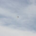 Windy City Warbirds and Classics 2026