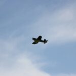 Windy City Warbirds and Classics 2026