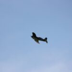 Windy City Warbirds and Classics 2026