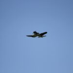 Windy City Warbirds and Classics 2026