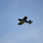 Windy City Warbirds and Classics 2026