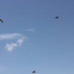 Windy City Warbirds and Classics 2026