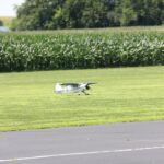 Windy City Warbirds and Classics 2026