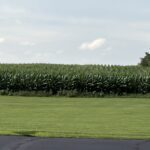 Windy City Warbirds and Classics 2026