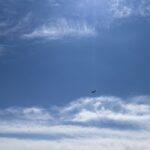 Windy City Warbirds and Classics 2026