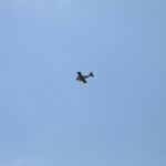 Windy City Warbirds and Classics 2026